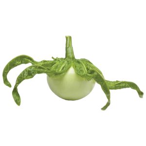Antroewa | Per pak